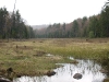 Beaver Vly